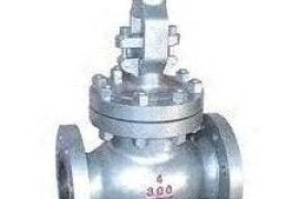 GLOBE VALVES SUPPLIERS IN KOLKATA