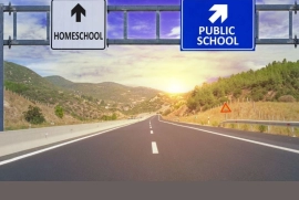 Engaging Homeschool Programs!