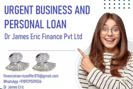 FINANCIAL LOAN SERVICE AND FINANCIAL LOAN COMPANY