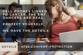 Don’t Ignore EMF Risks