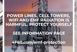 Don’t Ignore EMF Risks