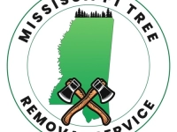 Mississippi Tree Removal Service